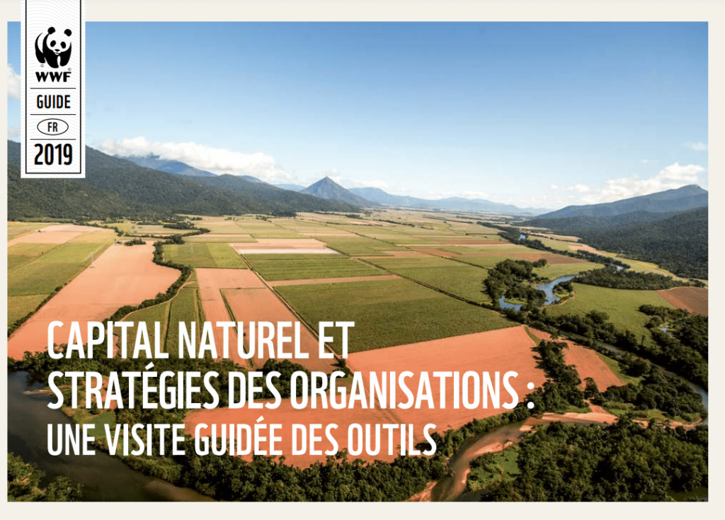 Capital naturel et stratégies des organisations une visite guidée des