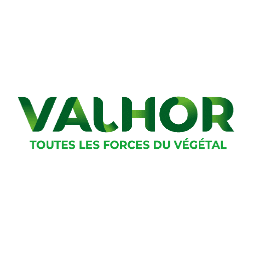 Plan-de-travail-30-copie-22_CAP2026.png